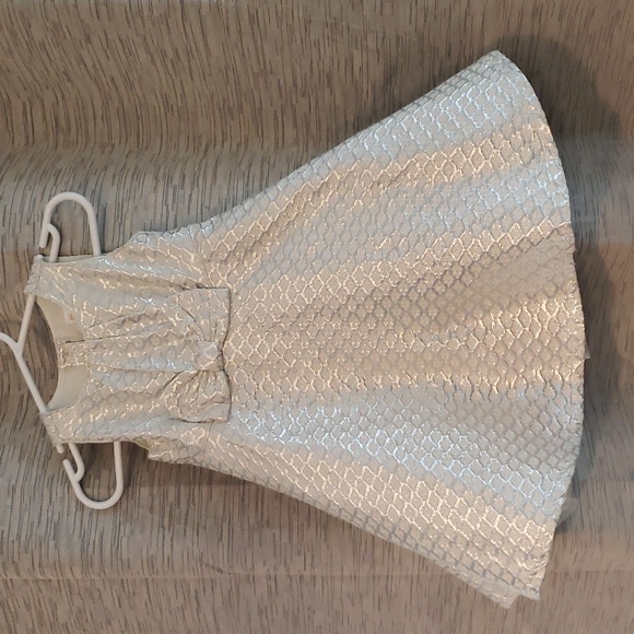 Gymboree 12-18mths Sparkly Fancy Dress - Picture 1 of 6